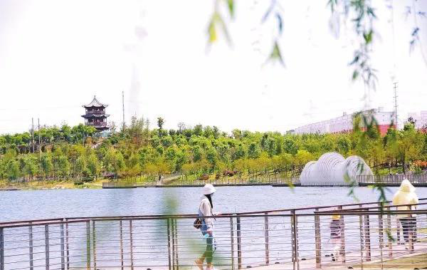 图片8
